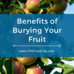 The Food Cop Benefits of Burying Your Fruit